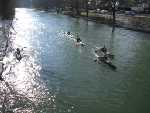 Wintercup_2011_Muenchen_62.jpg